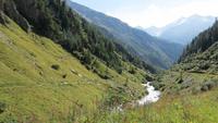 134 Fahrt mit der Furka-Dampfbahn - Blick ins Goms