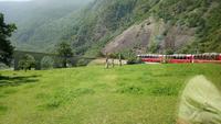 Entdeckt mit dem Bernina Express