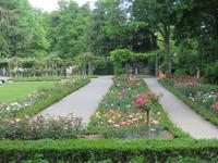 Eiger, Mönch, Jungfrau - Ausflug nach Bern - Rosengarten