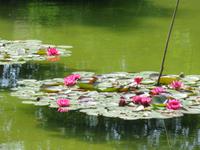 Eiger, Mönch, Jungfrau - Ausflug nach Bern Stadtführung - Rosengarten