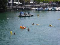 Limmat-Schwimmen in Zürich