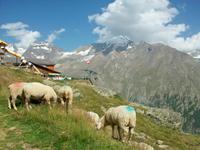 Saas Fee