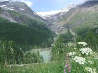 Palügletscher und Palüsee