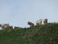 Ausflug zum Stoos und Fronalpstock - Fahrt mit der Sesselbahn
