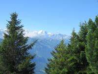 Ausflug auf das Stanserhorn - Rundgang mit Ranger Peter -