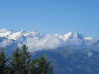 Ausflug auf das Stanserhorn - Rundgang mit Ranger Peter - Blick zu Eiger, Mönch und Jungfrau