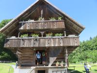 Besuch des Schweizerischen Freilichtmuseums Ballenberg