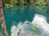 Ausflug zum Blausee