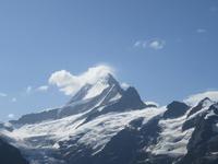 Ausflug auf den First - Schreckhorn