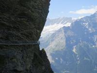 Ausflug auf den First - Cliff-Walk