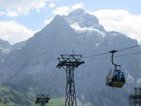 Ausflug auf den First