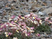 Ausflug zum Schilthorn -