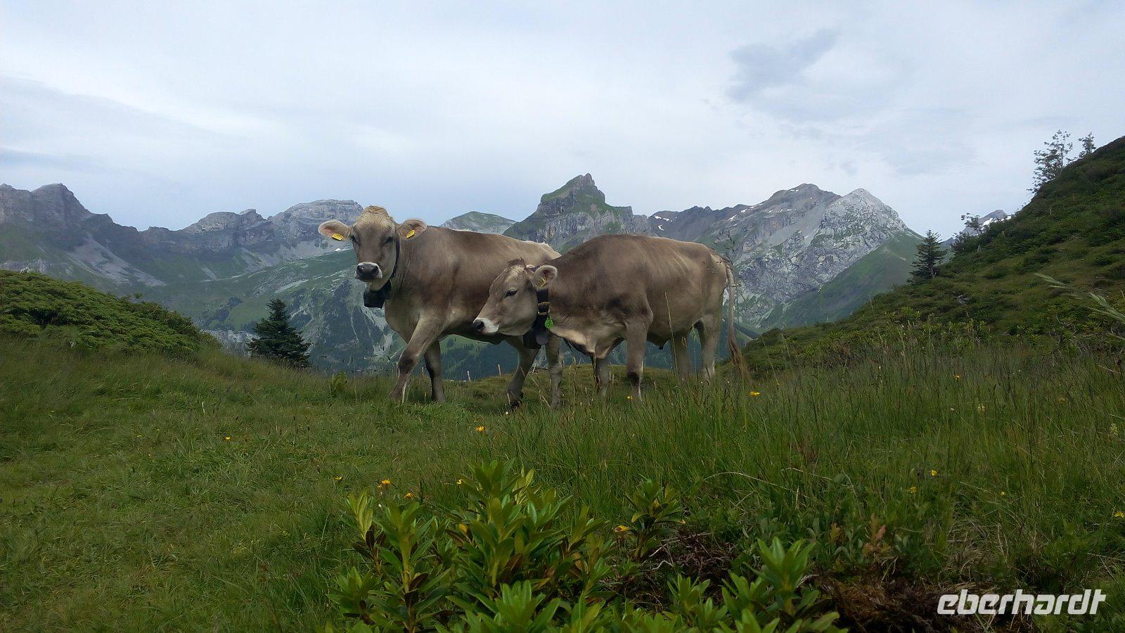 Engelberg, Bahnfahrt auf den Titlis, Wanderung um den Trübsee