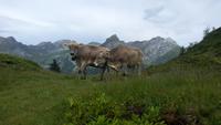 Engelberg, Bahnfahrt auf den Titlis, Wanderung um den Trübsee