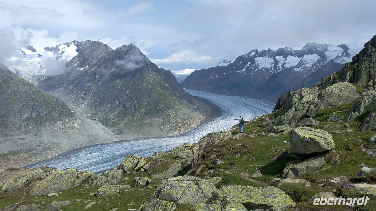Bettmerhorn, Blick auf den Aletschgletscher