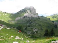 Besuch des Alpengartens auf der Schynige Platte