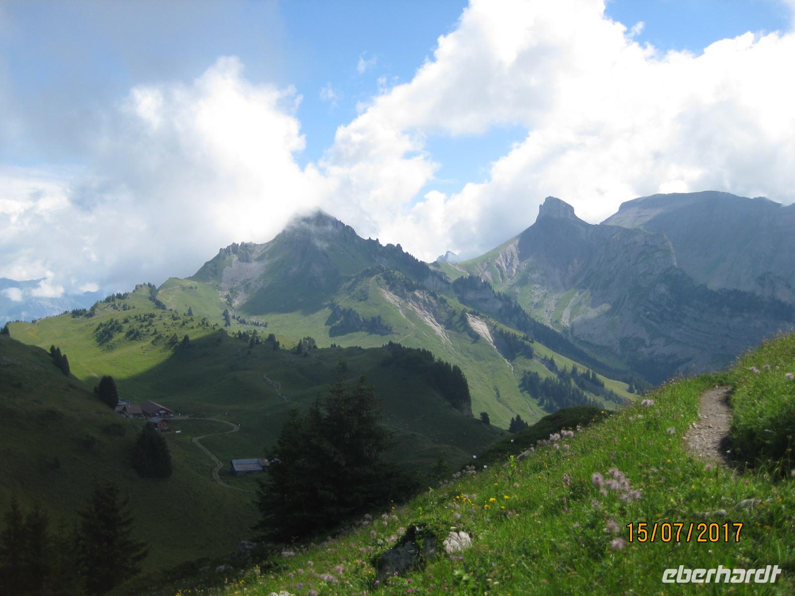 Besuch des Alpengartens auf der Schynige Platte