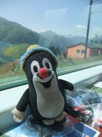 Auch Kuscheltiere dürfen mitreisen