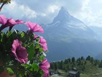 Blick zum Matterhorn