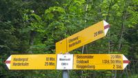 Interlaken, Harder Kulm, unsere Wanderung