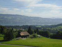 Heimfahrt - Blick auf den Zürichsee