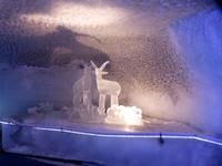 Besuch im Gletscherpalast auf 3883 m