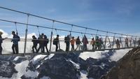 auf dem Kleinen Titlis... (Cliff Walk - Hängebrücke)