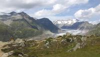 Moosfluh - Blick zum Großen Aletschgletscher