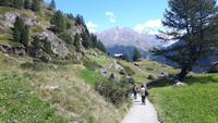 Wanderung Furi - Zmutt - Blatten - Zermatt