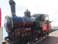 Fahrt mit der Brienzer Rothornbahn