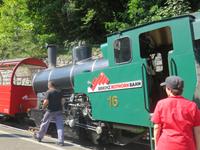 Fahrt mit der Brienzer Rothornbahn