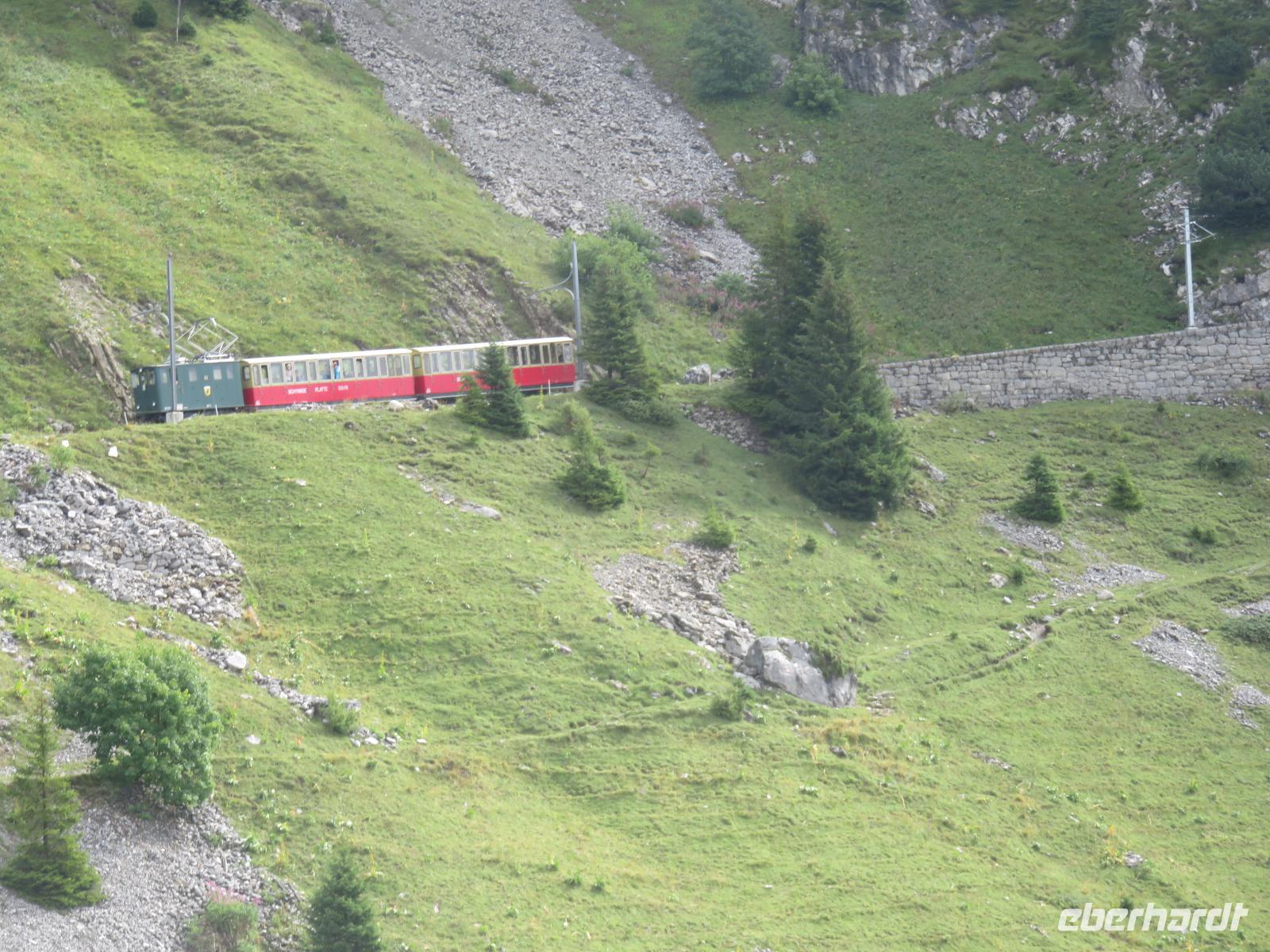 Fahrt mit der Bahn auf die Schynige Platte -