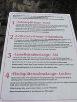 Auf der Schynigen Platte - Zahnradsysteme