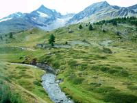 Fahrt mit dem Bernina - Express 