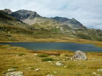 Fahrt mit dem Bernina - Express 