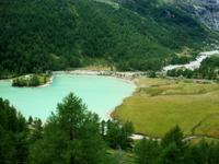 Fahrt mit dem Bernina - Express 