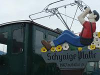 Wir wollen zur Schynige Platte