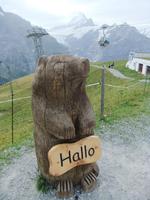 Oben begrüßt uns ein Murmeltier