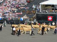 Interlaken - Festspiel zum Abschluß des Unspunnenfestes