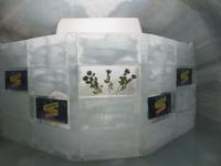 Interlaken - Ausflug zum Jungfraujoch - Eispalast