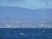 Schifffahrt Genfer See