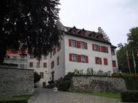 Schloss Arbon