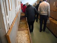 Betriebsbesichtigung Appenzeller Bitter