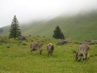 auf der Schwägalp...