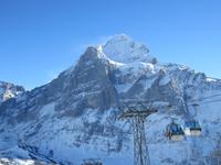 Ausflug auf den First - Wetterhorn