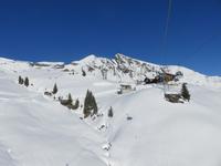 Ausflug auf den First