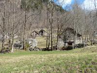 Nicht alle Rusticos werden erhalten