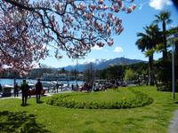Am Hafen von Locarno