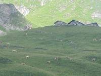 Fahrt mit der Brienzer Rothorn Bahn