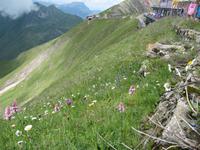 Auf dem Brienzer Rothorn